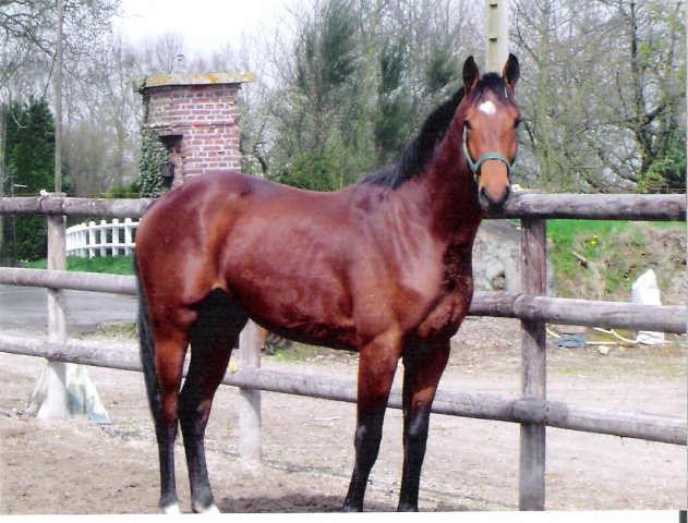Prestige du Loir